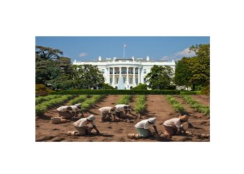 Goodbye DREAMERS – Hello SLAVES!
